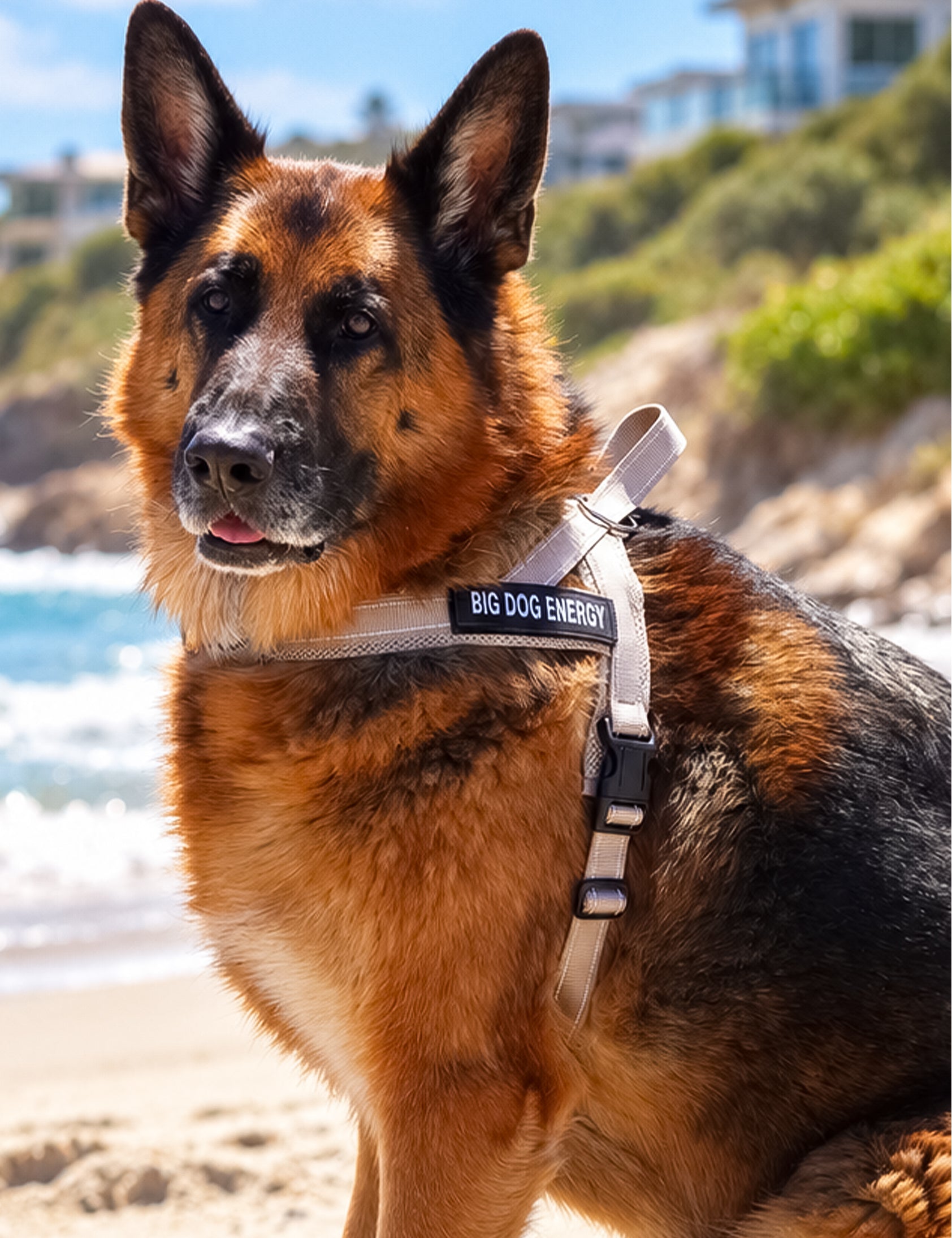 Beige_Harness_Lifestyle-Image-03_3x4_0px_BDE.jpg