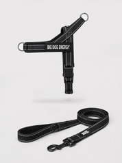 The No-Pull Walk Set - Black