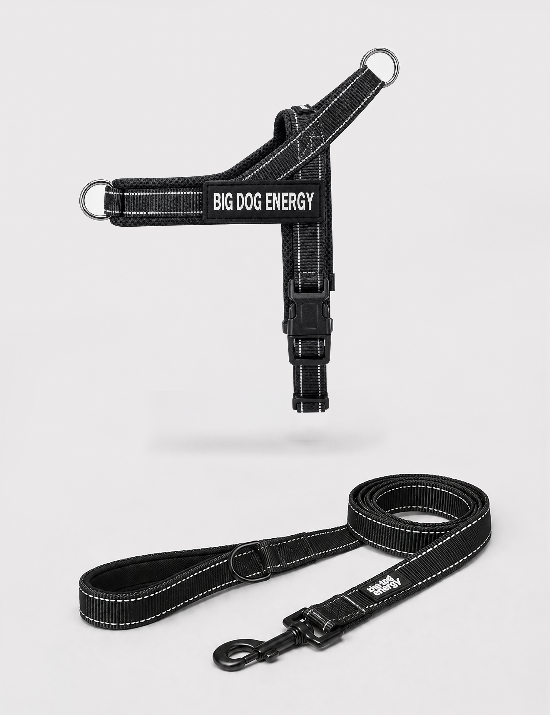 Black_Harness_Leash_Product-Image_Profile_3x4_2500px_72dpi_BDE.webp