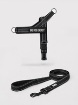 The No-Pull Walk Set — Black