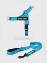 The No-Pull Walk Set — Blue
