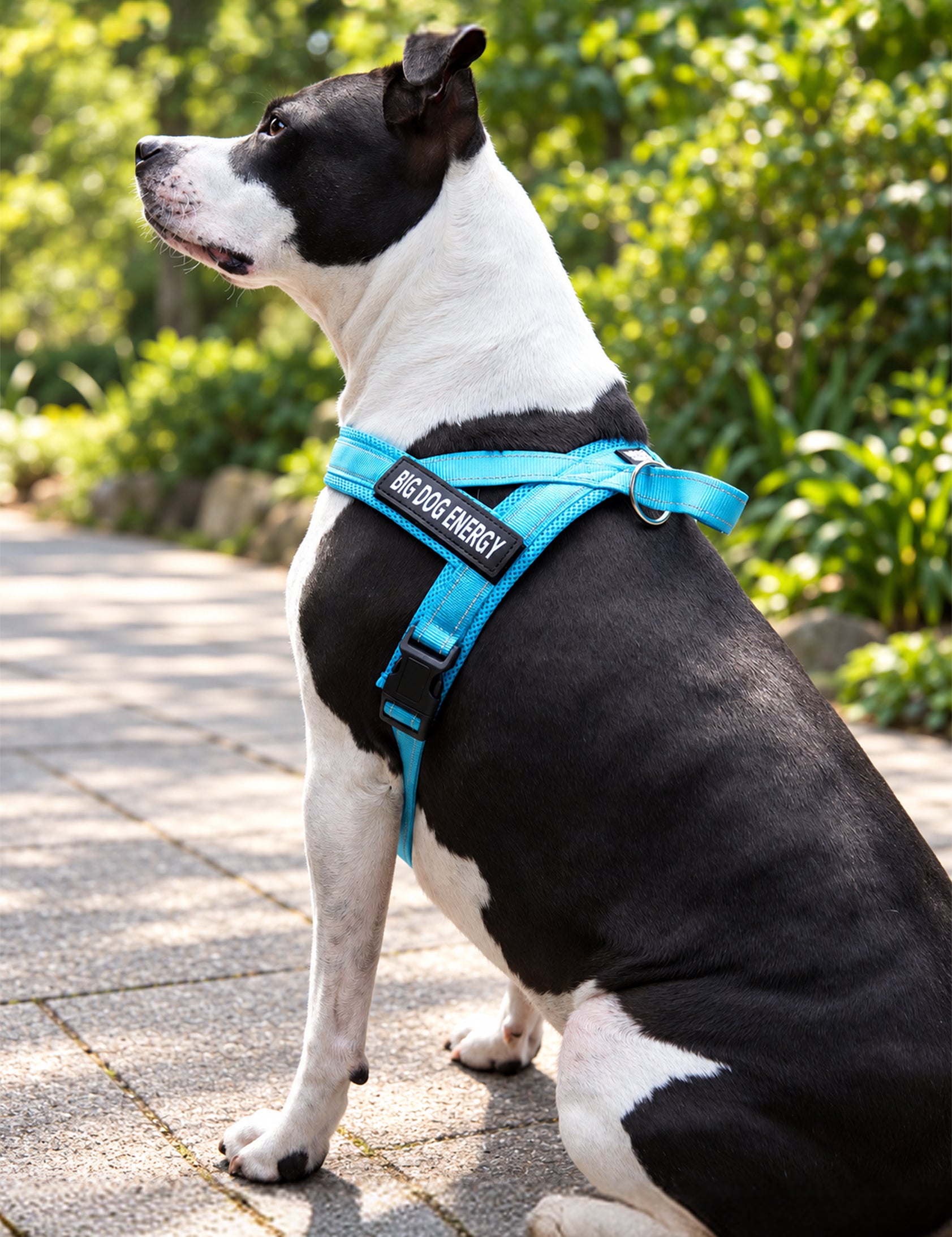 Blue_Harness_Lifestyle-Image-02_3x4_0px_BDEcopy.jpg