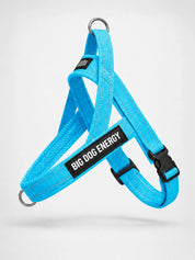 The No-Pull Walk Set - Blue