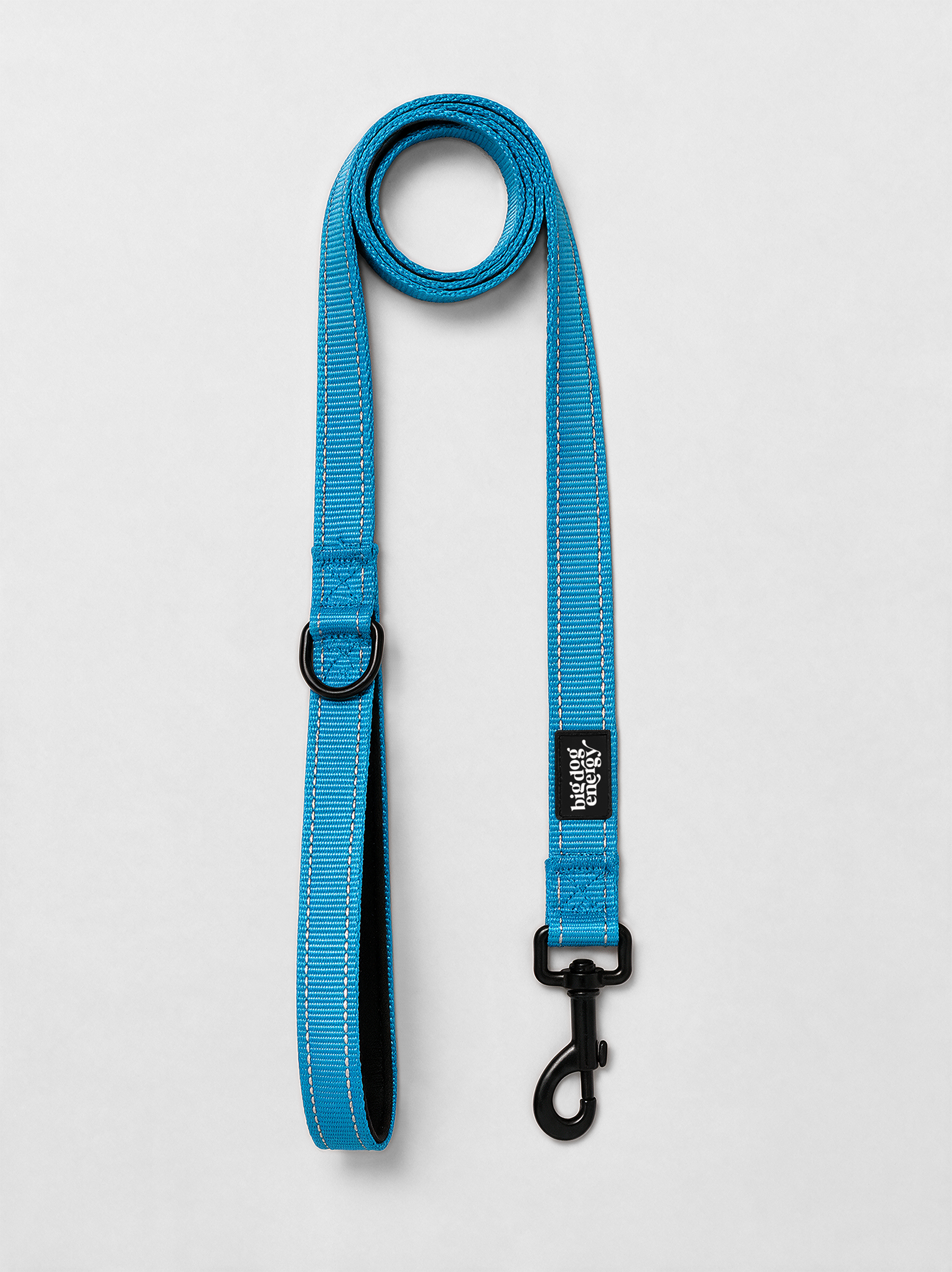 Dog Leash — Blue