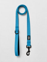 Dog Leash — Blue