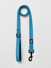 The No-Pull Walk Set - Blue