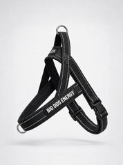 The No-Pull Walk Set - Black