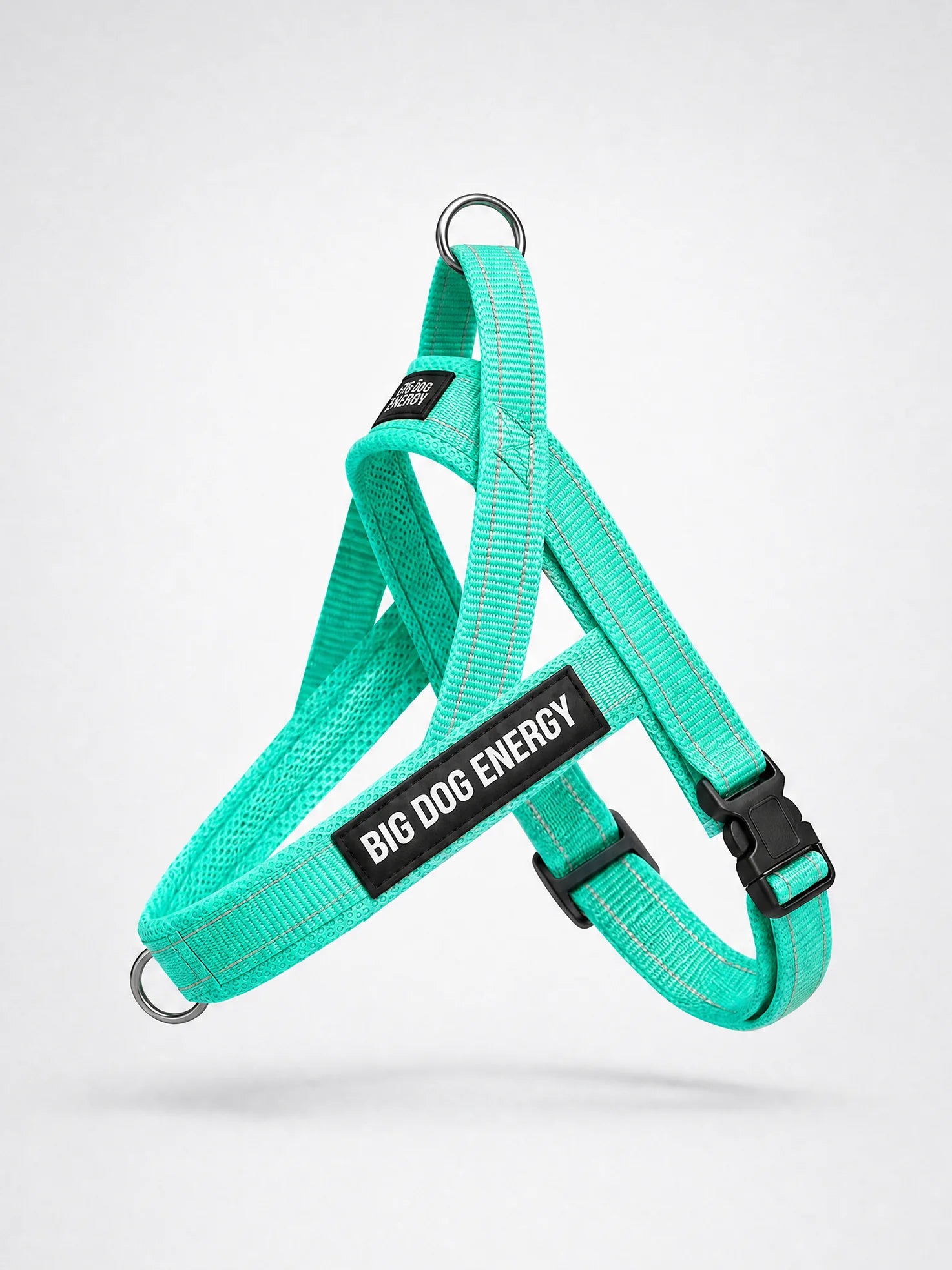 The No-Pull Walk Set - Turquoise