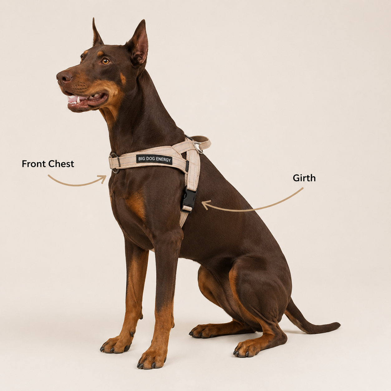 Draft_Harness-Measurements_Chat-GPT_BDE.png