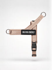The No-Pull Walk Set - Beige