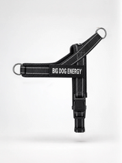 The No-Pull Walk Set - Black