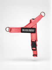 No-Pull Dog Harness — Neon Coral