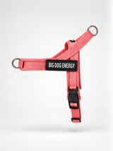 No-Pull Dog Harness — Neon Coral