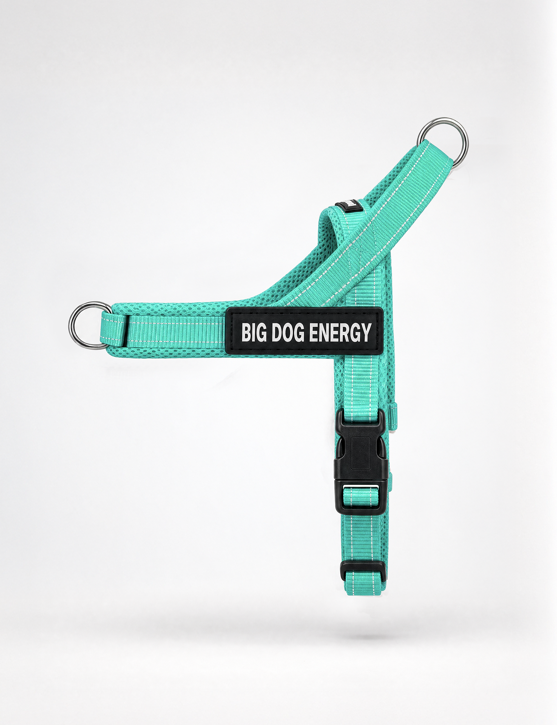 Harness_Turquoise_Packshot-Profile_3x4_2500px_72dpi_BDE.webp