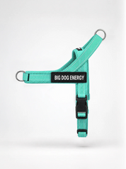 The No-Pull Walk Set - Turquoise