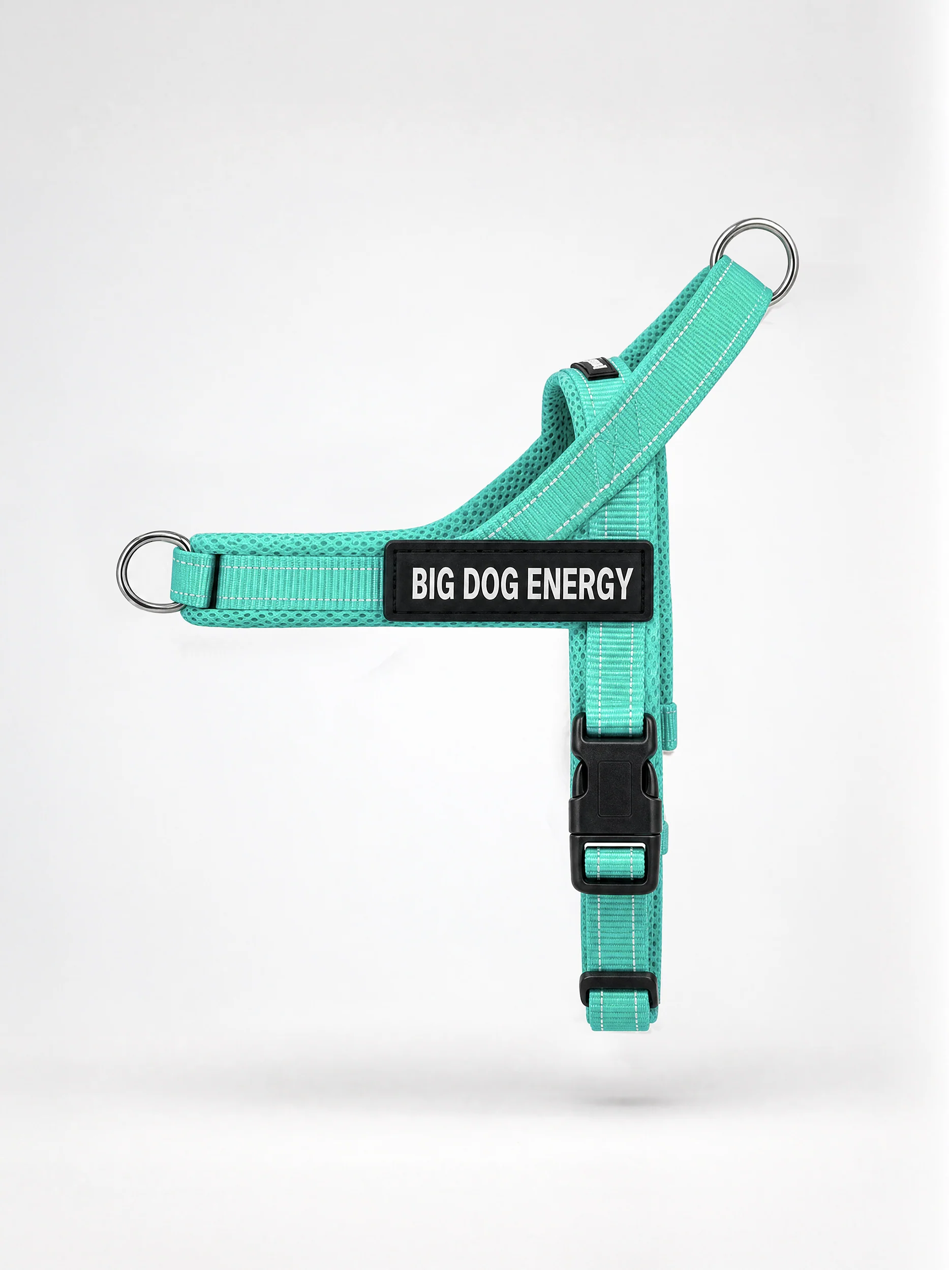 The No-Pull Walk Set - Turquoise