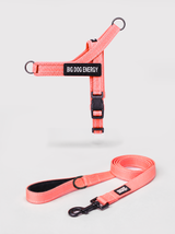 The No-Pull Walk Set — Neon Coral