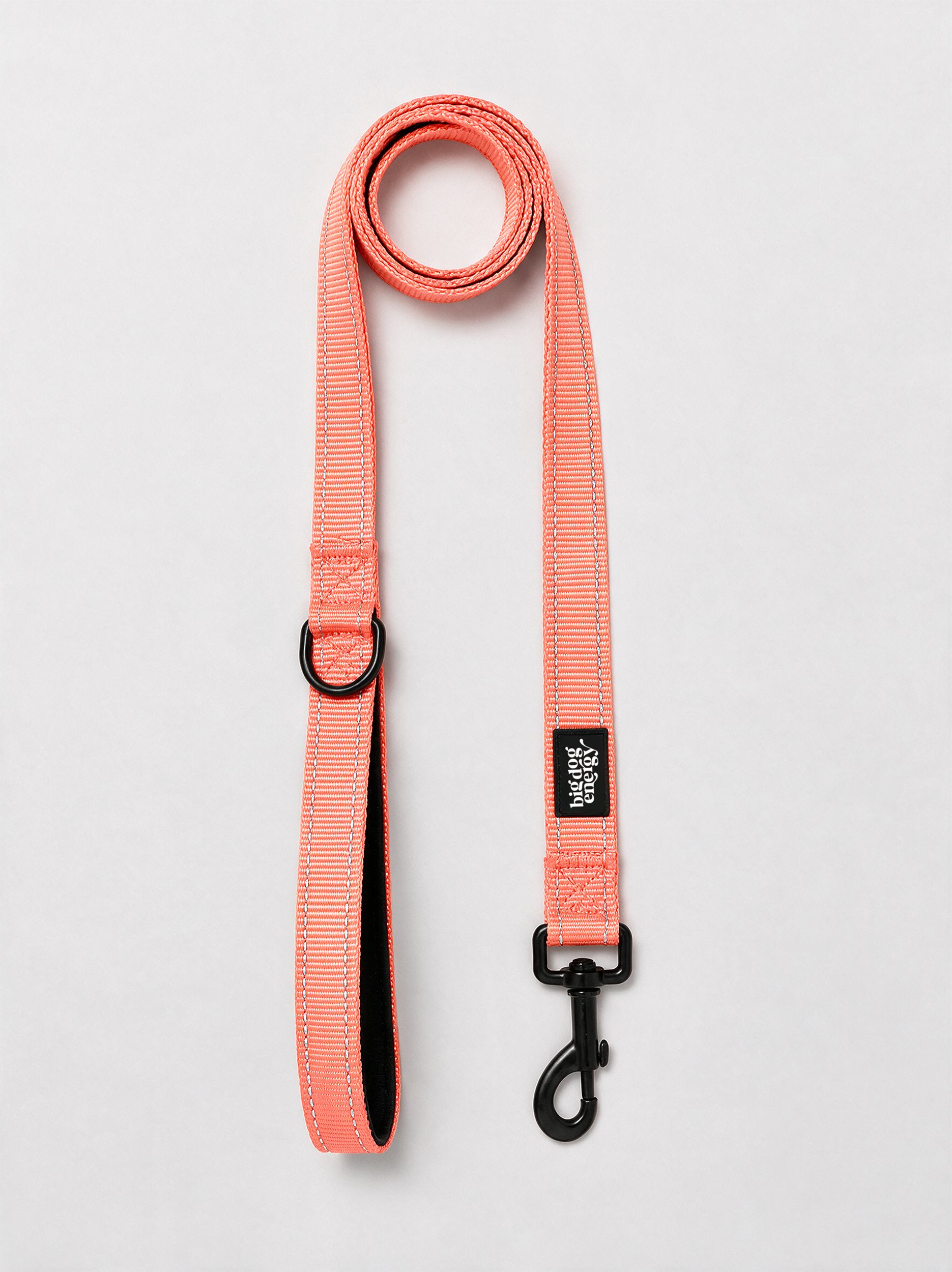 Dog Leash — Neon Coral