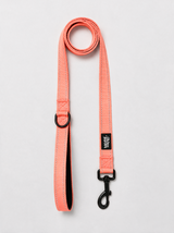 Dog Leash — Neon Coral