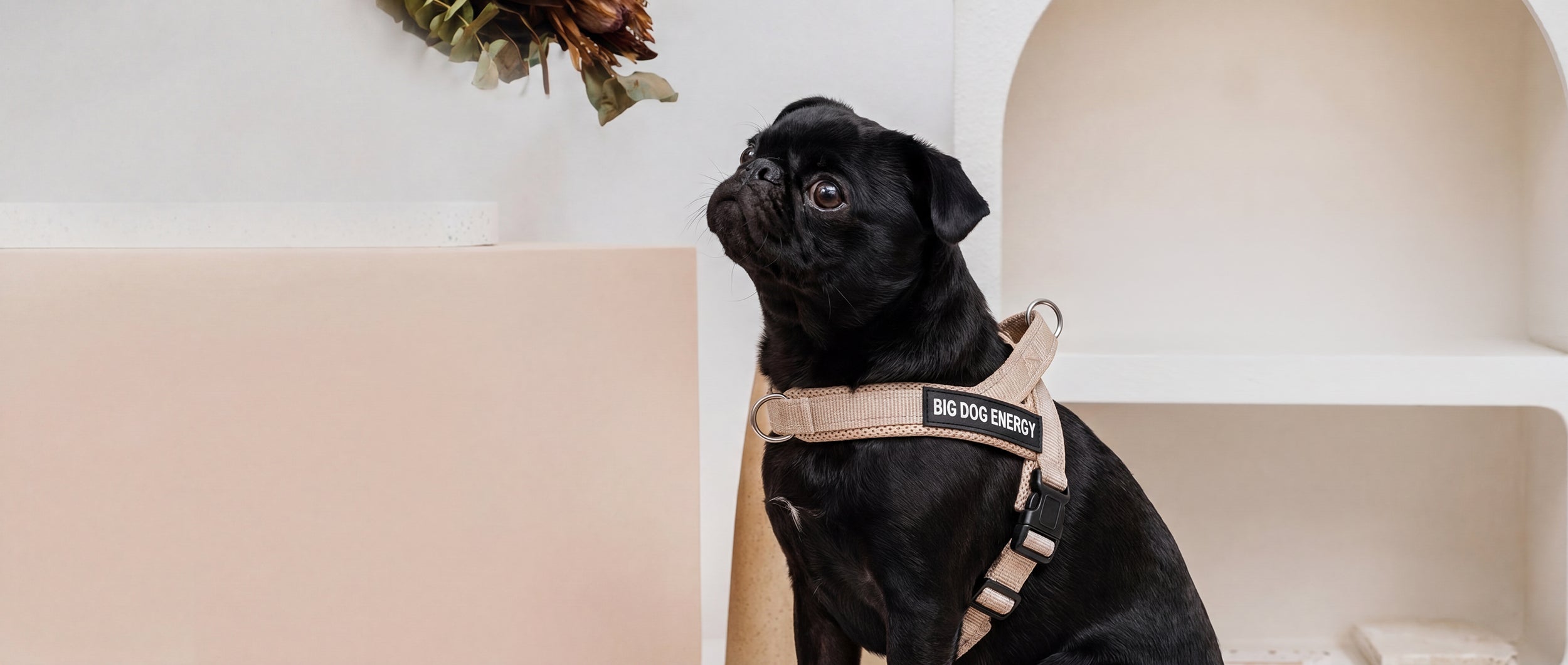 No-Pull-Harness_Beige_Lifestyle-Image-01_21x9_2500px_BDE.webp