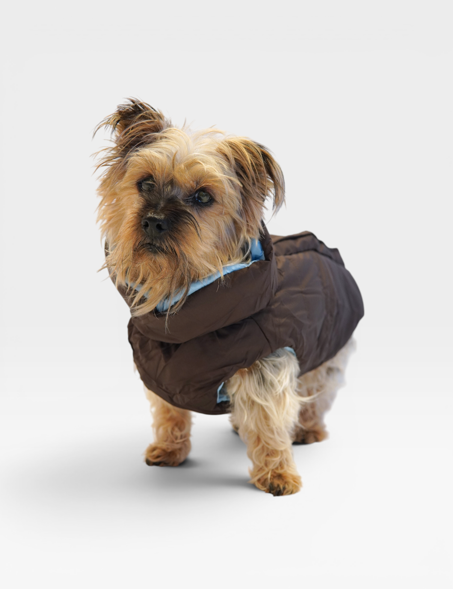 Puffer_Jacket_Blue.png