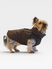 Reversible Puffer Jacket - Chocolate Brown / Blue