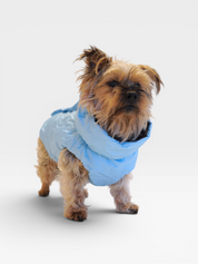Reversible Puffer Jacket - Chocolate Brown / Blue