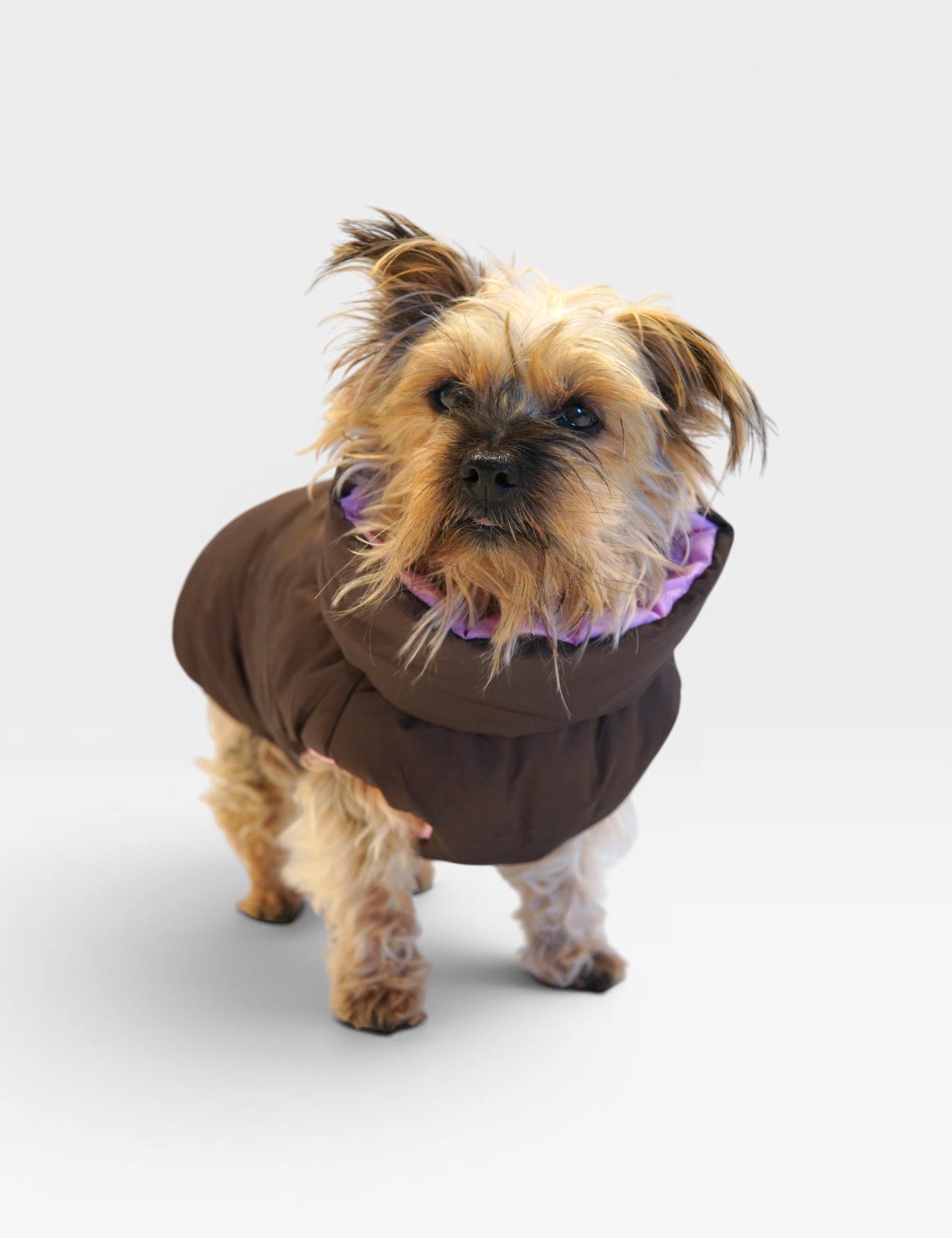Puffer_Jacket_Pink2.png