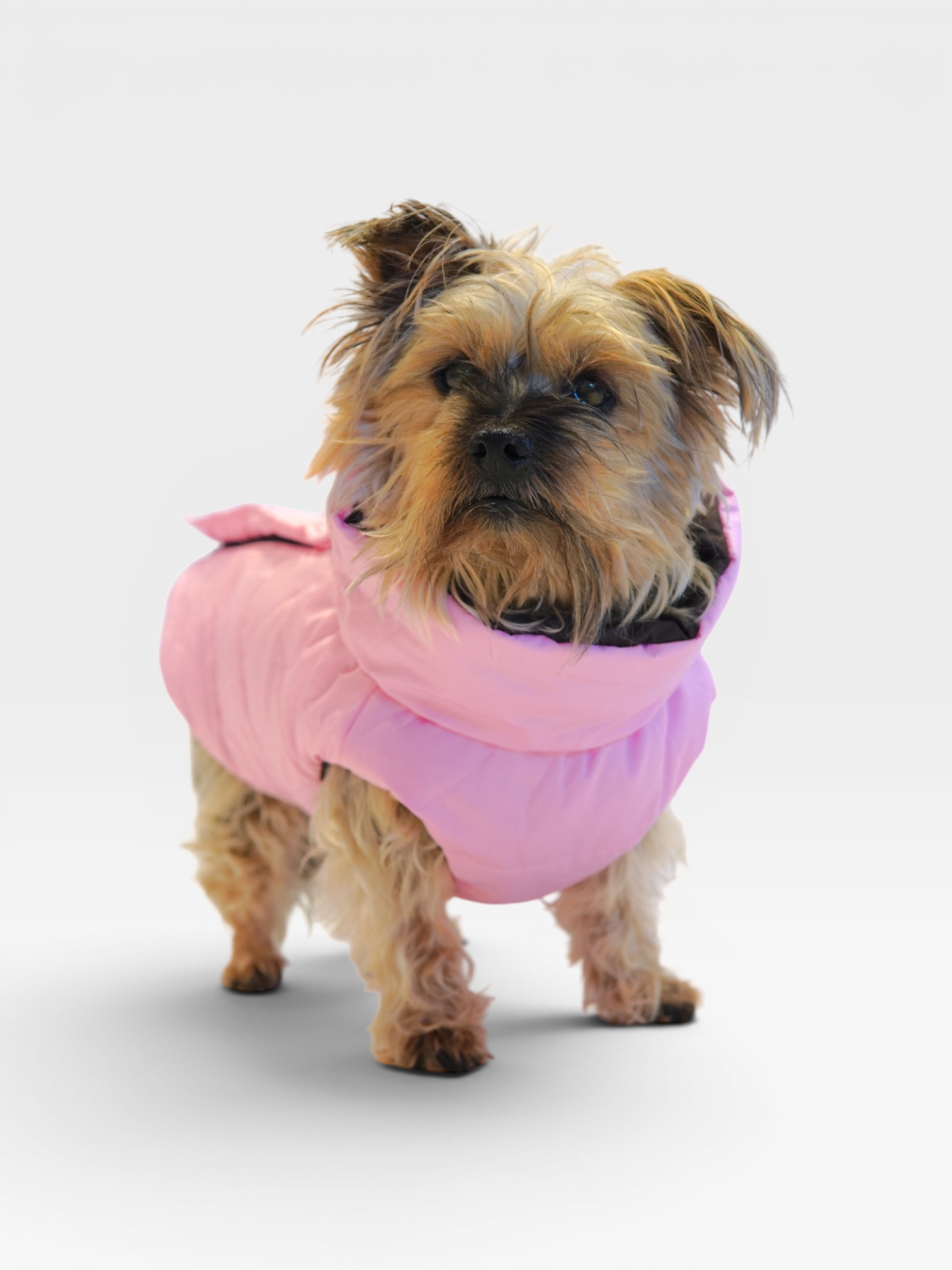 Reversible Puffer Jacket - Chocolate Brown / Pink