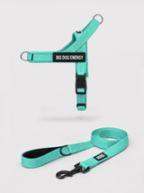 The No-Pull Walk Set — Turquoise