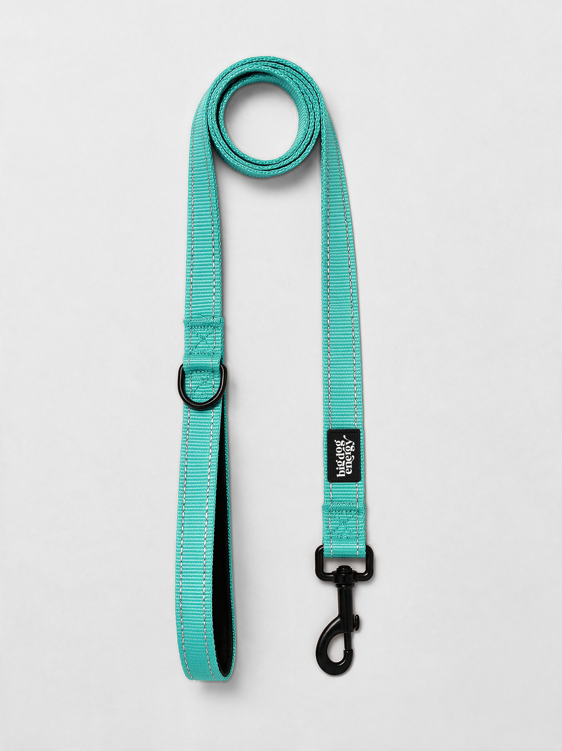 Dog Leash — Turquoise