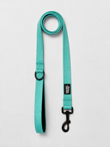 Dog Leash — Turquoise