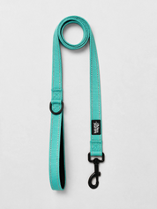 The No-Pull Walk Set - Turquoise